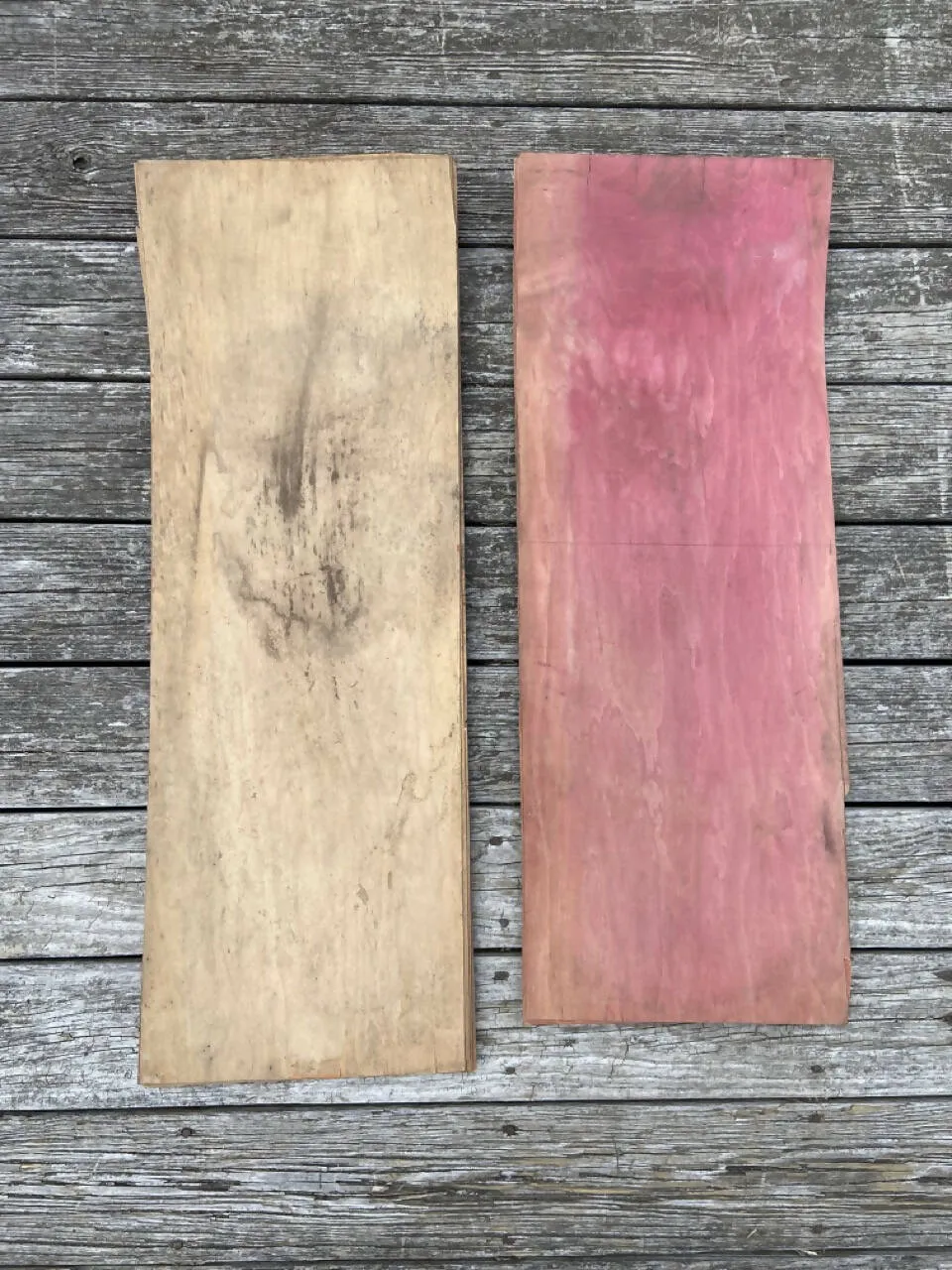 2 Pack Original Watershed Pressed Skate Blanks Uncut