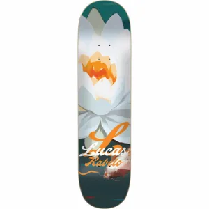 Flip Rabelo Flower Power 8.1" Skateboard Deck