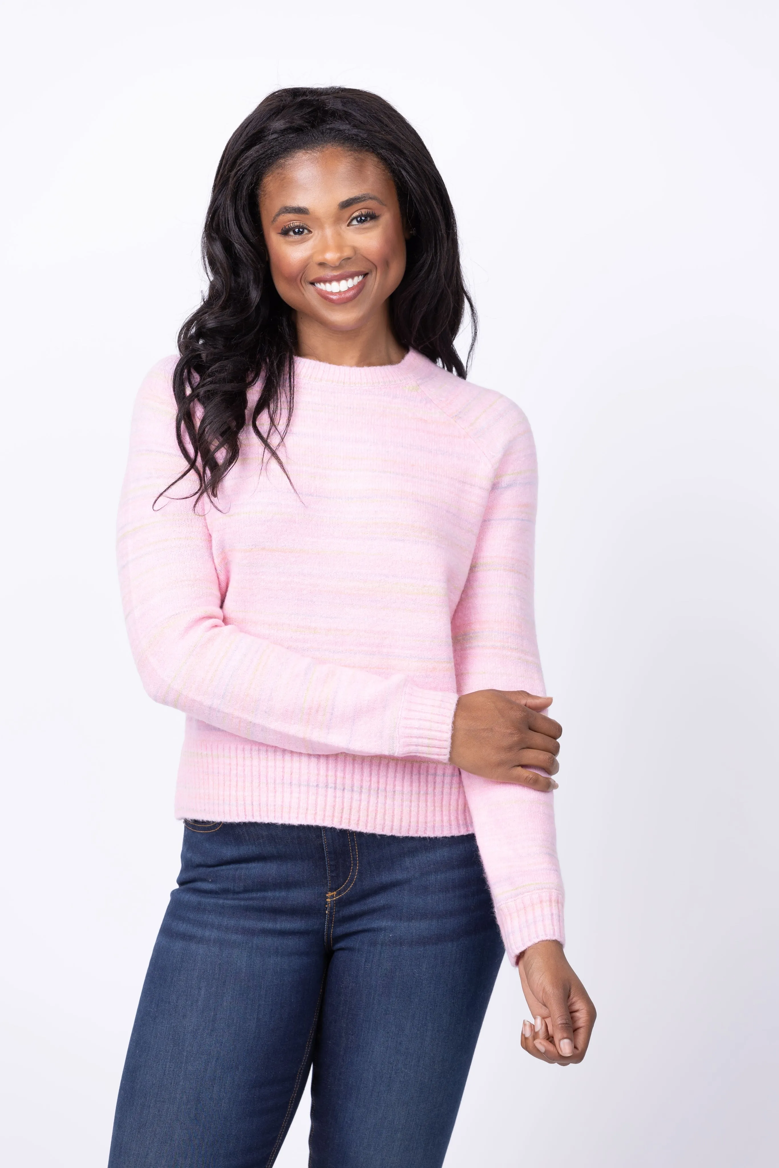 J. Society Crewneck Sweater in Multicolor Pink