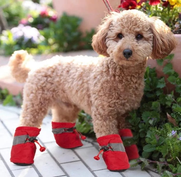 KUTKUT Dog Boots Paw Protector | Pack of 4pcs Anti-Slip Dog Shoes with Reflective Straps for Small Breed Dogs (Red)