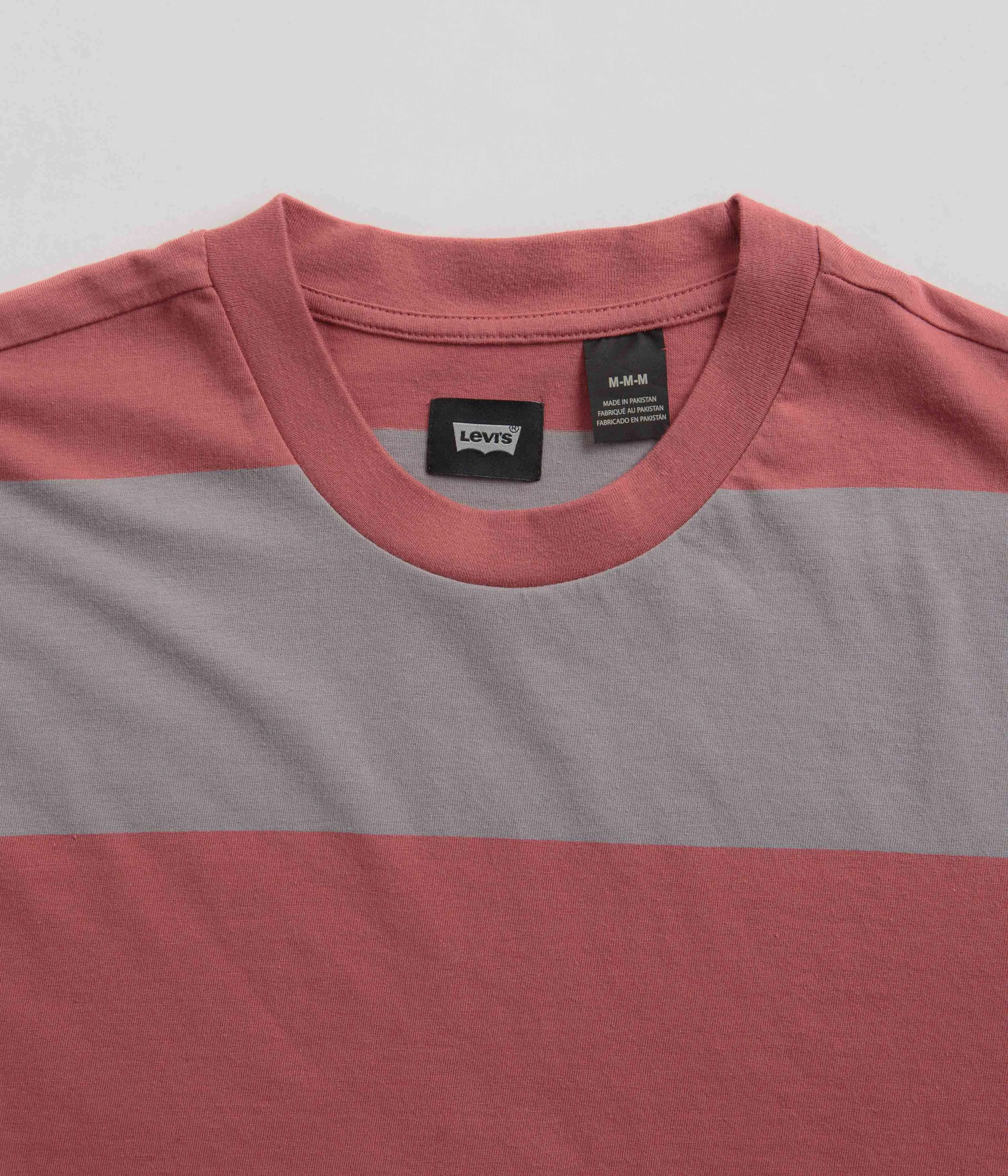 Levi's® Skate Graphic Boxy T-Shirt - Everyday Now Mauve Grey