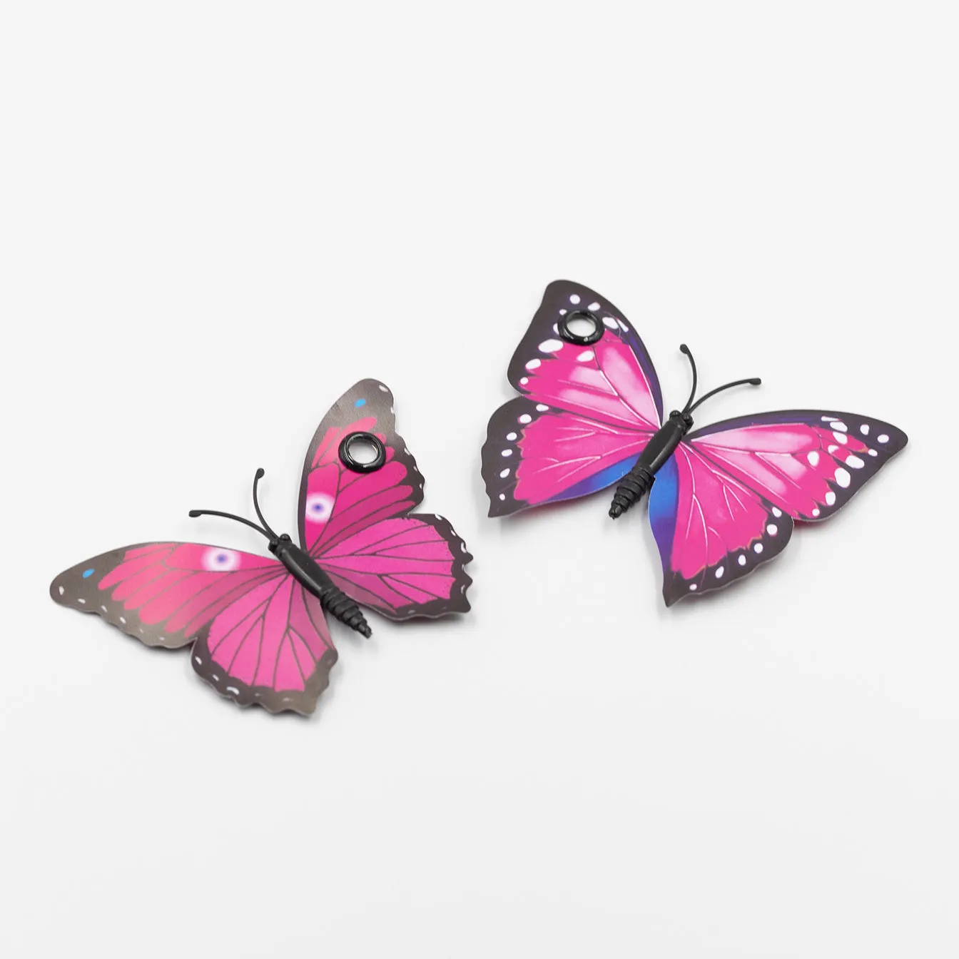 Setara Skate Co. - Butterfly Skate Accessory