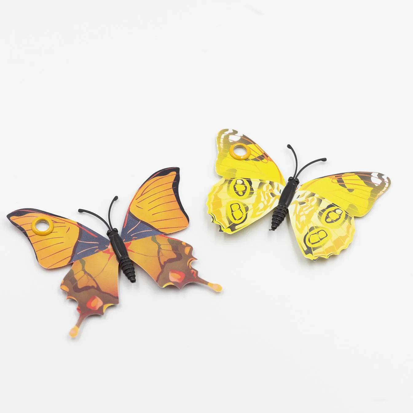 Setara Skate Co. - Butterfly Skate Accessory