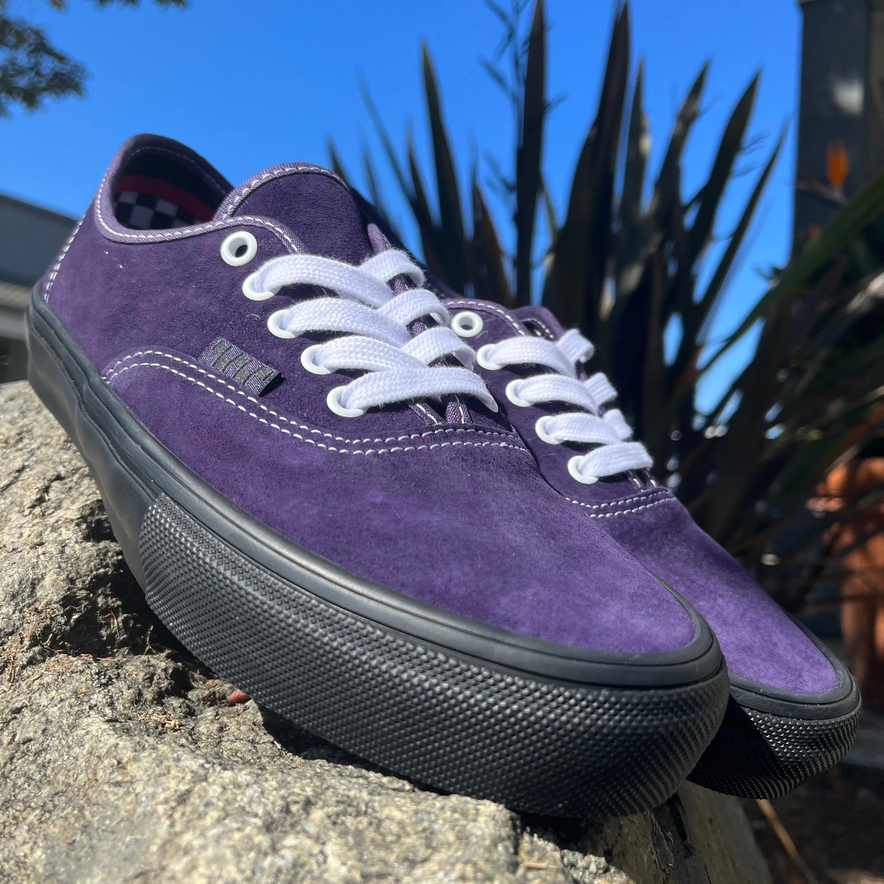 Vans Skate Authentic Pig Suede Dark Purple